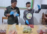 Sasar Pasokan Program Makan Gratis, Dinas Pangan Sulbar Uji Cepat Sayur dan Bawang di Polman-Mamasa!