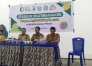 Gempur Stunting di Mamuju Tengah, Dinas Pangan Sulbar Dirikan “Rumah Rahasia” Ini di Tabolang!