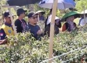 Ikut Panen Cabe di Desa Lemo-Lemo, Arsal Tantang Emak-Emak Sulap Pekarangan Rumah Jadi Ladang Duit!
