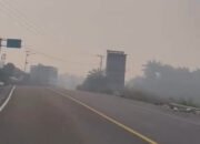 Gumpalan Asap Tebal Misterius Selimuti Pangale, Bekas Kebakaran Bawah Tanah atau Asap Kiriman?