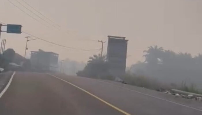 Gumpalan Asap Tebal Misterius Selimuti Pangale, Bekas Kebakaran Bawah Tanah atau Asap Kiriman?